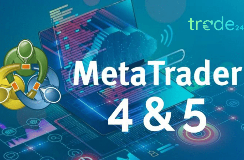 MT4 or MT5 Login Problems: Quick Fixes & Tips